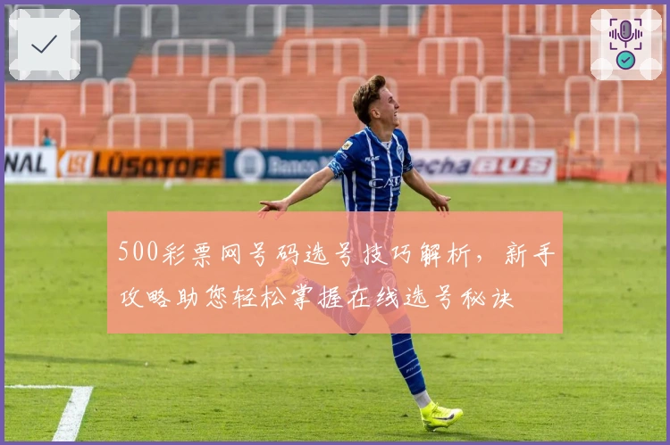 500彩票网号码选号技巧解析，新手攻略助您轻松掌握在线选号秘诀