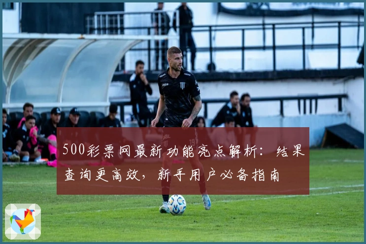 500彩票网最新功能亮点解析：结果查询更高效，新手用户必备指南